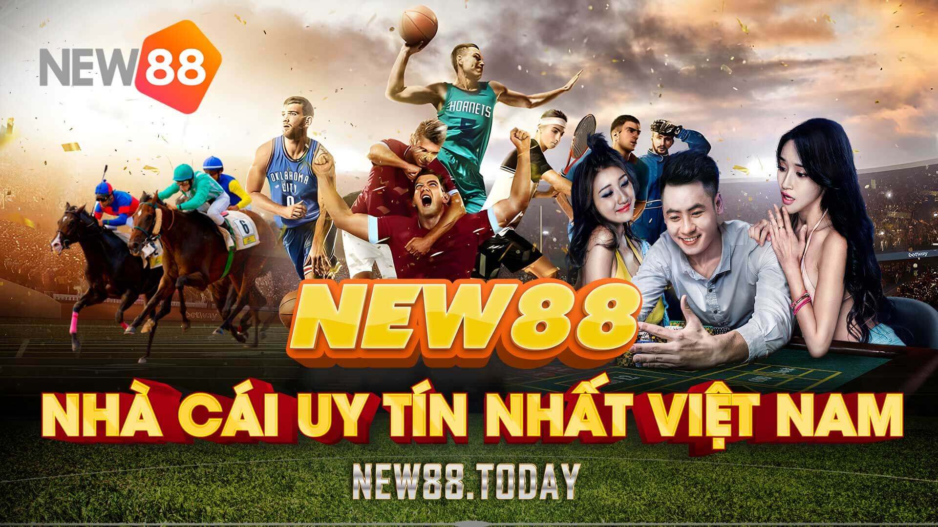 Thông tin sơ bộ về NEW88