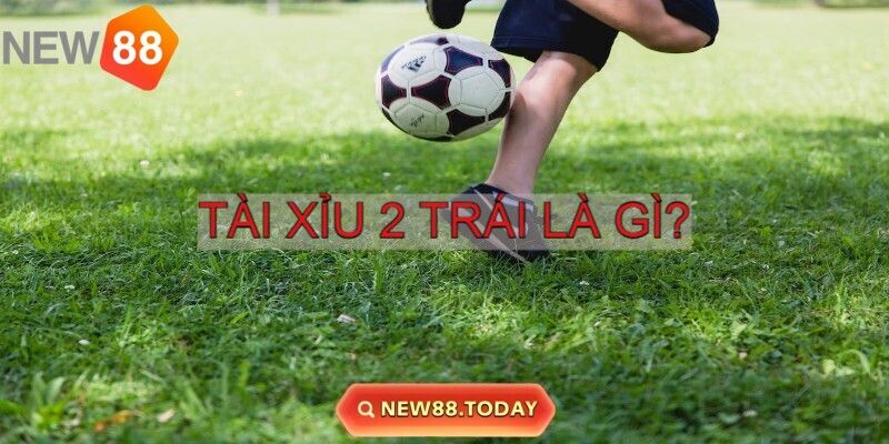 Tài Xỉu 2 trái là gì